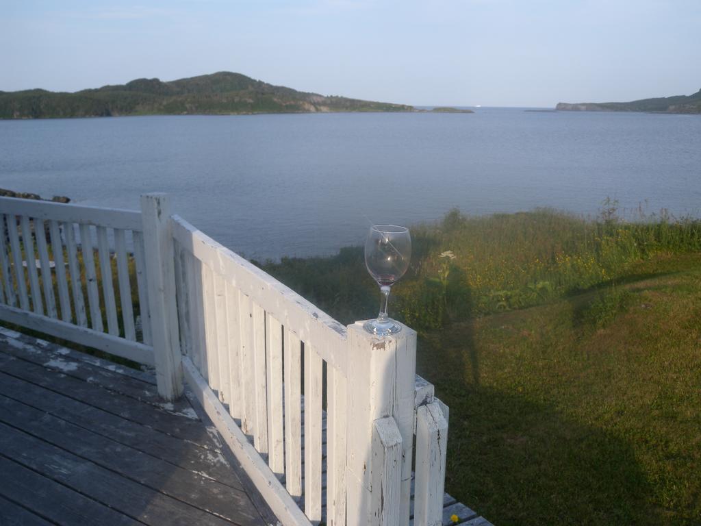 Wildberry Country Lodge B&B St. Anthony Exteriér fotografie